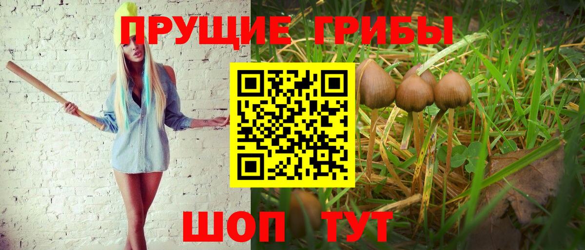 Псилоцибиновые грибы мицелий Хабаровск