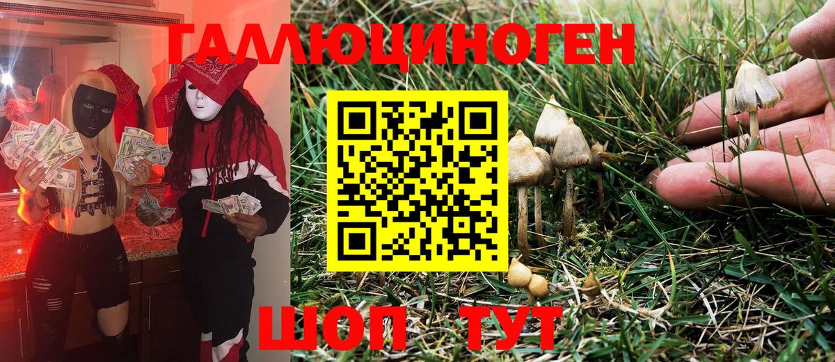 Хабаровск  Псилоцибиновые грибы MAGIC MUSHROOMS  Псилоцибиновые грибы MAGIC MUSHROOMS  Вход с VPN 
